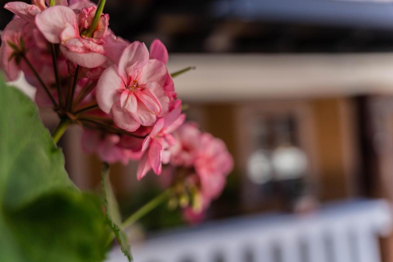 Casa Graciela Hotel Pátzcuaro المظهر الخارجي الصورة